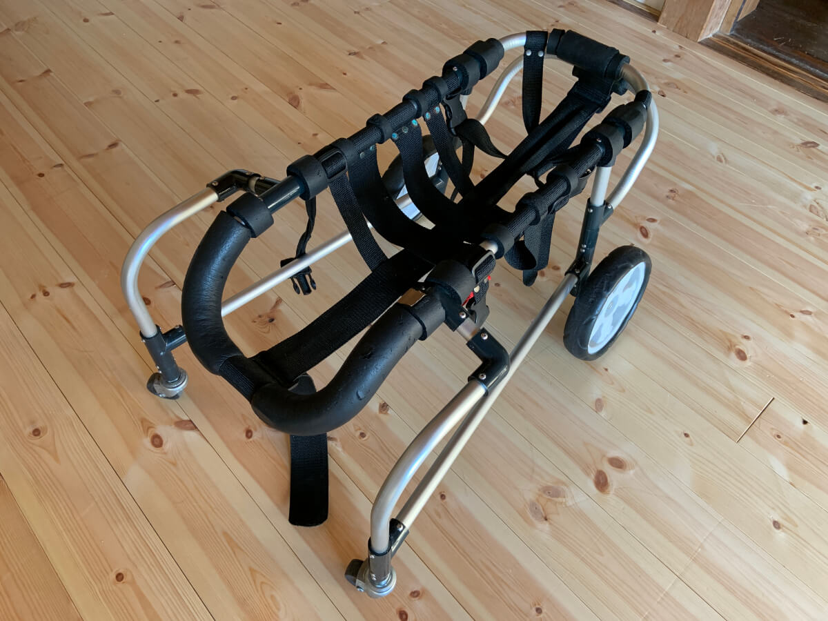 老犬介護グッズの無料レンタル：歩行器（車椅子）